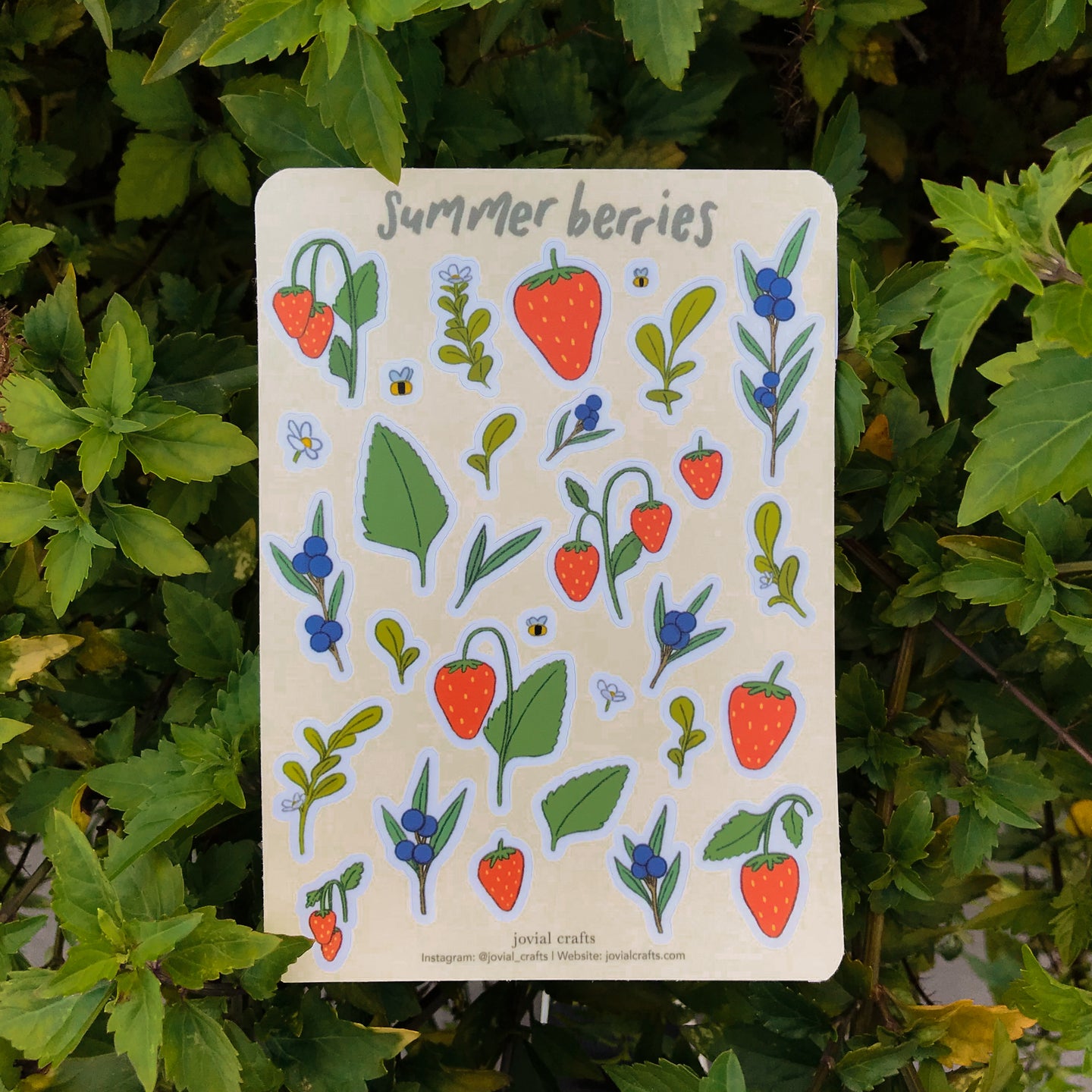 Summer Berries Transparent Sticker
